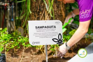 Planting Sampaguita, Preserving Filipino Heritage